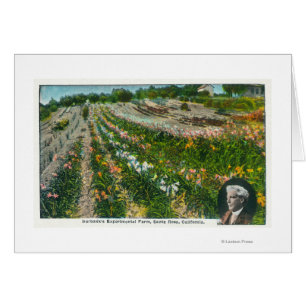 Versuchsfarm Burbanks