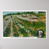 Versuchsfarm Burbanks