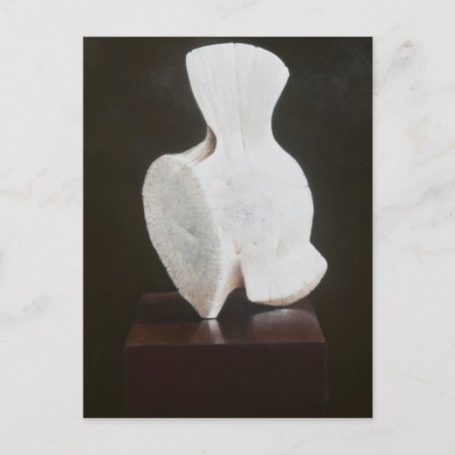 Vertebra 2012 postkarte (Vorderseite)