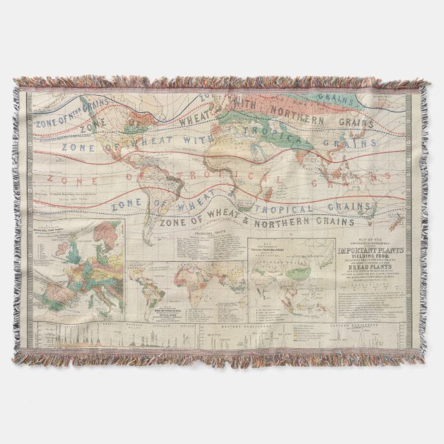 Verteilungs-Pflanzen Decke (Vorderseite)