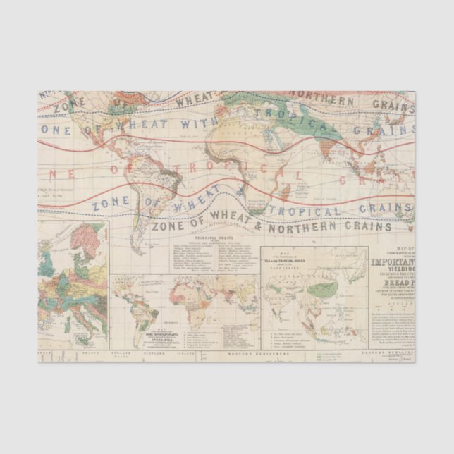 Verteilungs-Pflanzen Seidenpapier (Vorderseite)