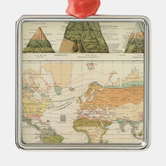 Verteilungsvegetation Ornament Aus Metall (Vorne)