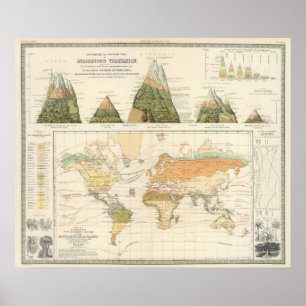 Verteilungsvegetation Poster