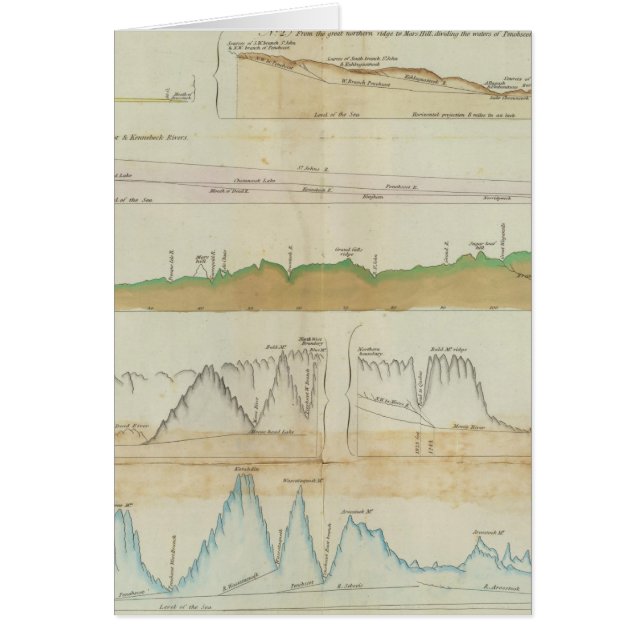 Vertikale Hauptabschnitte (Vorne)