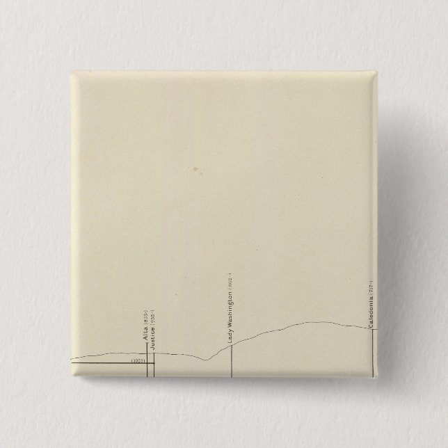 Vertikale Längsprojektion III Comstock Lose Button (Vorderseite)