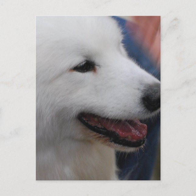 Vertikale Postkarte - Maßgeschneiderte Vorlage (Vorderseite)