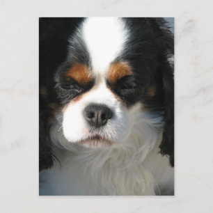 Vertikale Postkarte - Maßgeschneiderte Vorlage