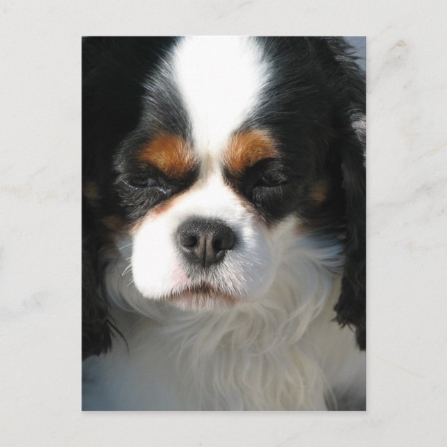 Vertikale Postkarte - Maßgeschneiderte Vorlage (Vorderseite)