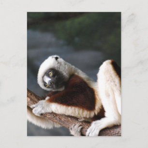 Vertikale Postkarte - Maßgeschneiderte Vorlage