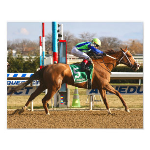 Vertikaleiche Fotodruck