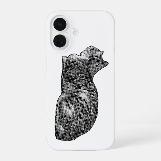Vertikaler Rahmen, Tabby-Ruheposition iPhone 16 Hülle (Rückseite)
