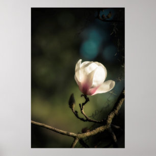 Vertikales Budding Magnolia Poster