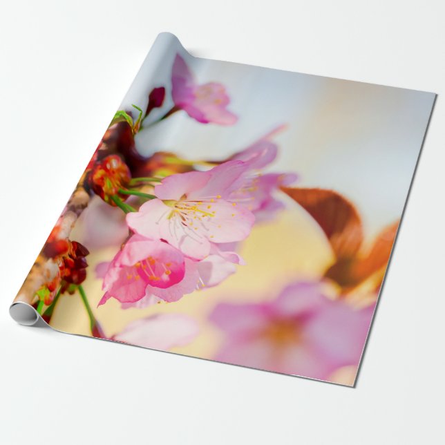 Vertikales Cluster von Sakura-Blume Geschenkpapier (Ungerollt)