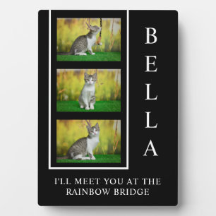 Vertikales Pet-Memorial-Layout mit Foto-Trio Fotoplatte