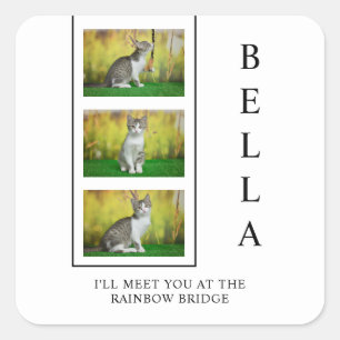Vertikales Pet-Memorial-Layout mit Foto-Trio Quadratischer Aufkleber