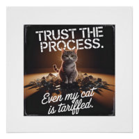 Vertrau dem Prozess Katze Büro Humor Meme