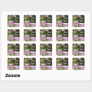 "Vertraue in den Herrn" Blume Foto Stickers