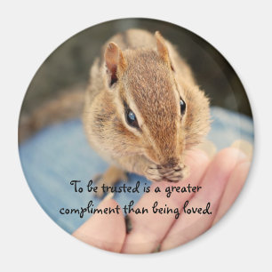 Vertrauen des Chipmunk-Magneten Magnet