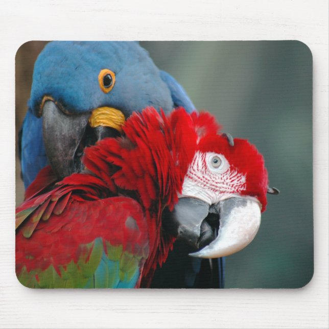 Vertrauen Mousepad (Vorne)