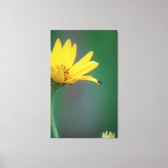 Vertrauensvorschuss Leinwanddruck (Vorderseite)