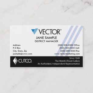 Vertreter-u. Manager-Visitenkarten Visitenkarte