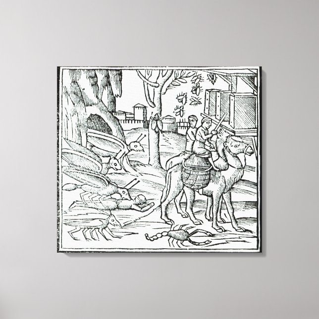 Vertretung der Pest, 1572 Leinwanddruck (Vorderseite)