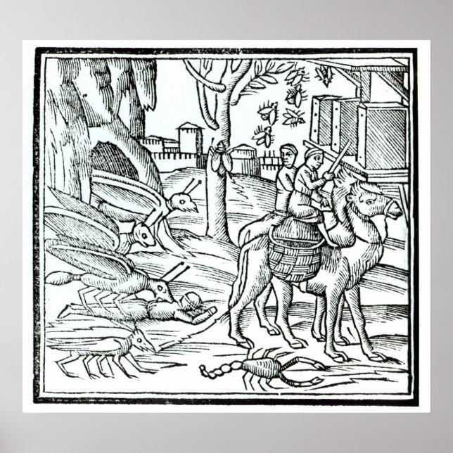 Vertretung der Pest, 1572 Poster (Vorne)