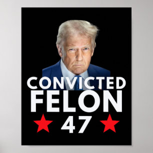 Verurteilter Verbrecher 47 Präsident 2025 Anti Tru Poster