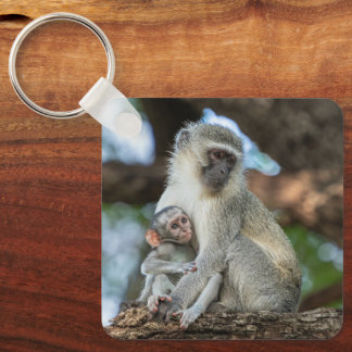 Vervet-Meerkatze, sanfte Natur Schlüsselanhänger