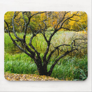 Verwachsener Herbstlicher Karelier-Birkenbaum Mousepad