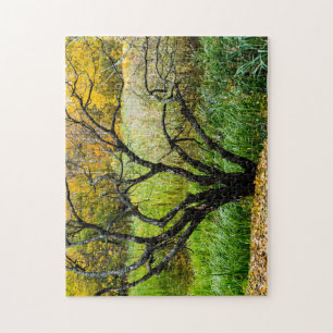 Verwachsener Herbstlicher Karelier-Birkenbaum Puzzle