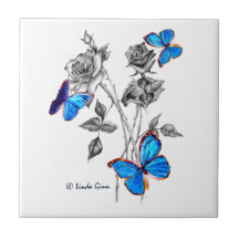 Verwandeln Sie Schmetterlinge auf