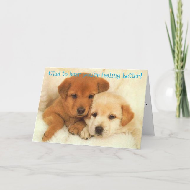 Verwechseln Sie nicht das Icyhot Karte (Vorderseite)