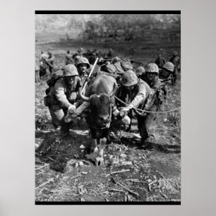 Verwenden Sie alle verfügbaren Mittel_War-Bilder Poster