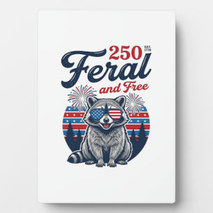 Verwilberte 250 und freie Waschbär-patriotische Ve Fotoplatte