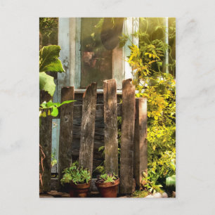 Verwilderter Garten im Morgenlicht Postkarte