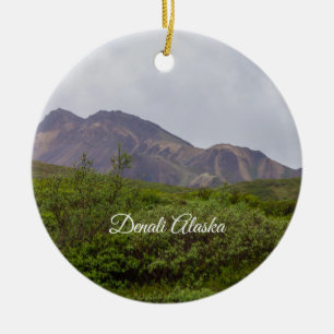 Verwirbelte Schönheit im Denali Ornament Souvenir