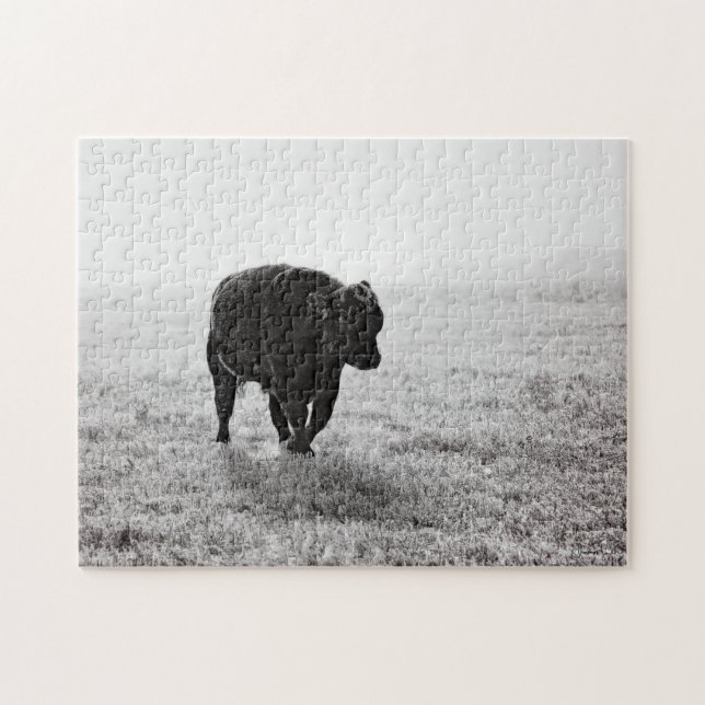 Verwirren Sie 11x14 Stier auf Eis durch Puzzle (Horizontal)