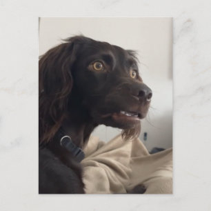 Verwirrtes Dosierungsschema Postkarte