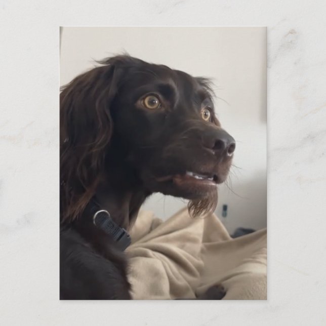 Verwirrtes Dosierungsschema Postkarte (Vorderseite)