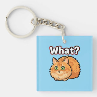 Verwirrtes flauschiges orangefarbenes Katzenanhäng Schlüsselanhänger
