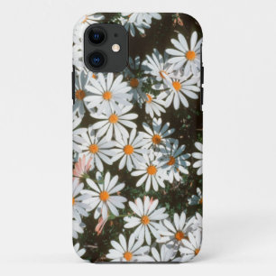 Verwirrtheit der weißen Sterne (Asteraceae) Case-Mate iPhone Hülle