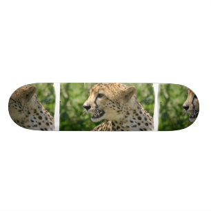 Verwirrungs-Gepard-Skateboard Skateboard