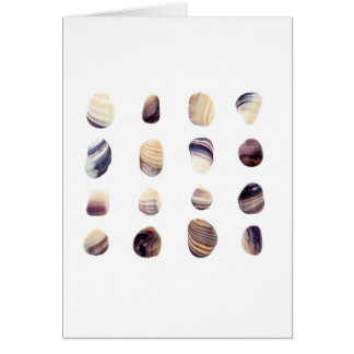 Verwitterte Seashells