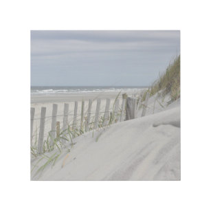 Dunen Kunst Poster Zazzle At