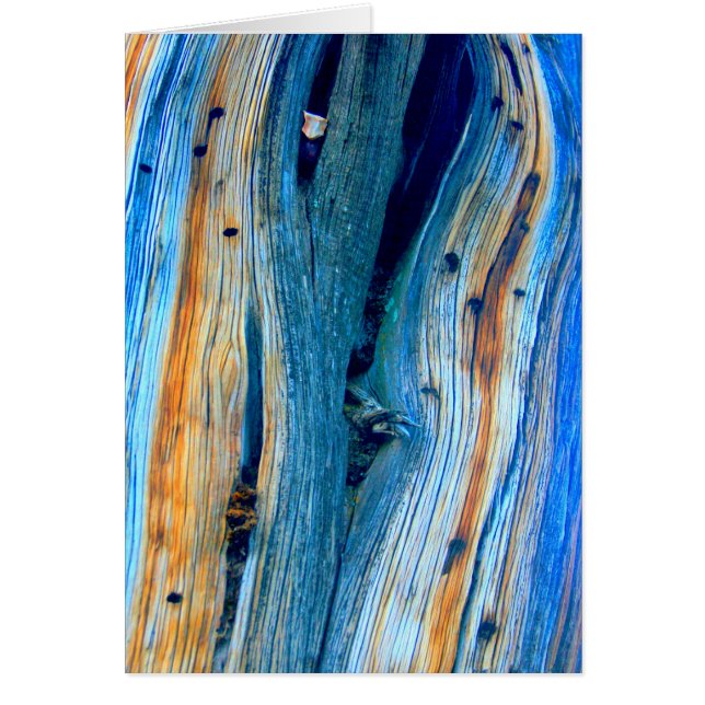 verwittertes blaues Schrankbrett (Vorne)