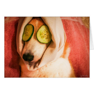 Verwöhnen Sie sich Karte