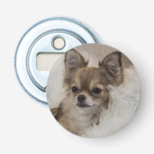 Verwöhnter Chihuahua entspannt sich Flaschenöffner