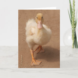 Very Cute Duckling Card Karte