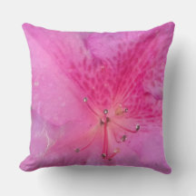 Verzaubernde Blüte 20" x 20"